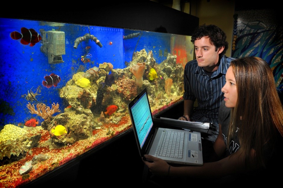 students studying water in aqarium