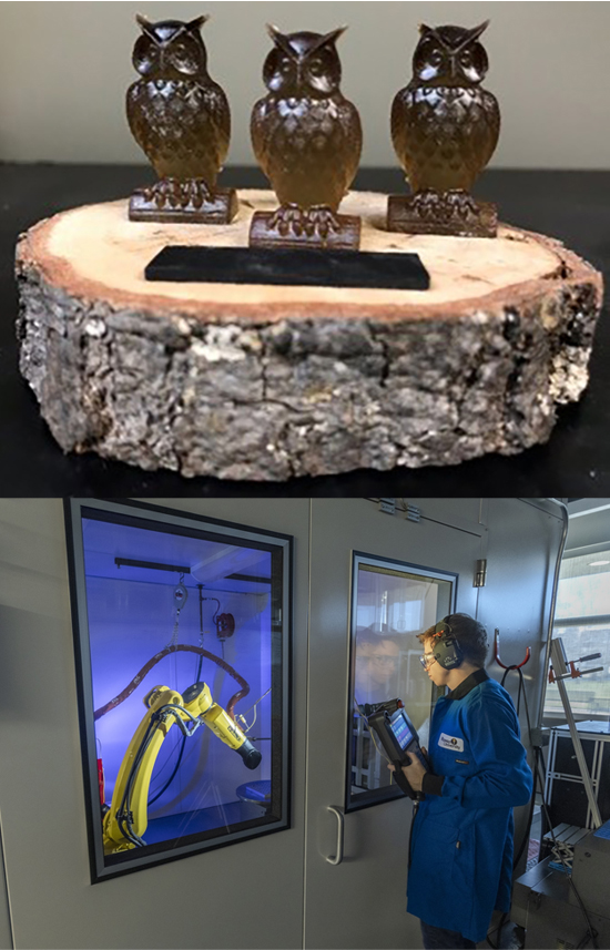 owls on wood and cold spray lab