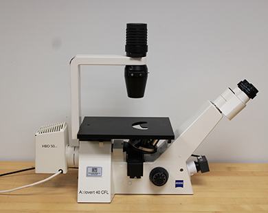 Zeiss Axiovert 40 CFL Inverted Microscope