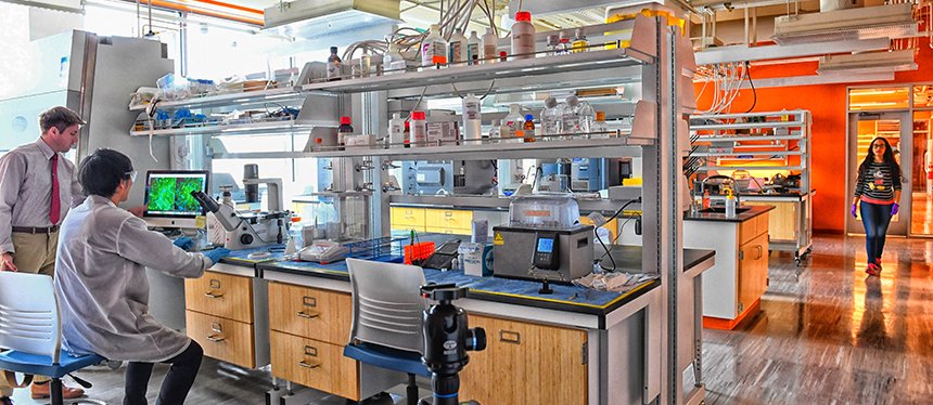 Panoramic view of bright lab