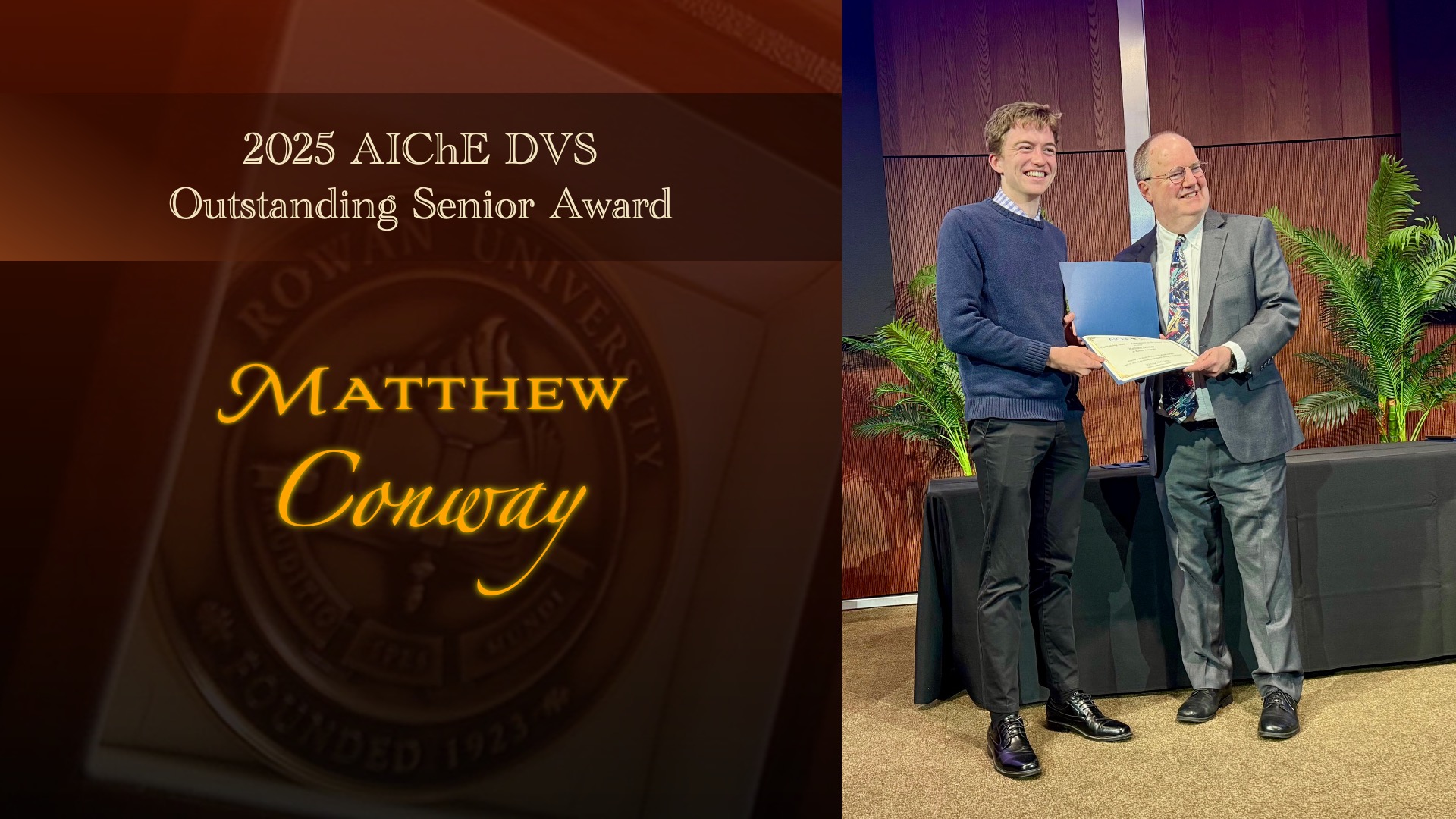 aiche dvs senior award