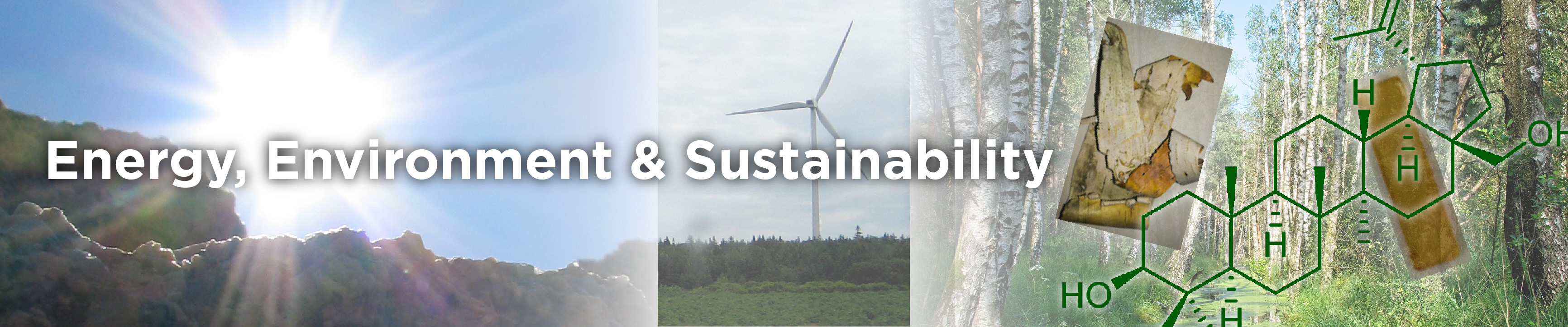 Energy, Environment and Sustainability