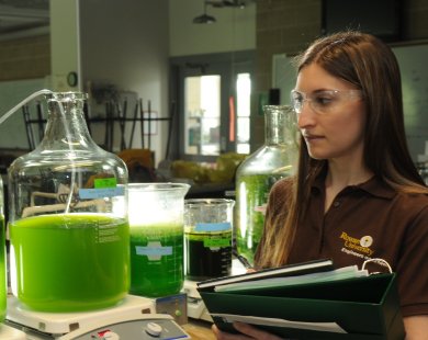 algae grows the future