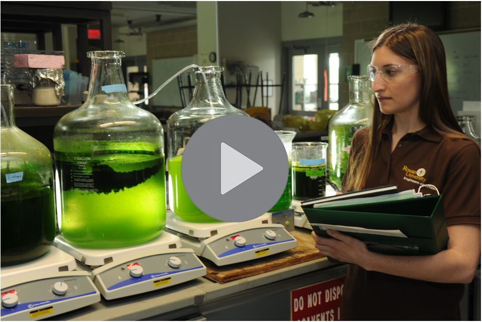 algae_video.jpg